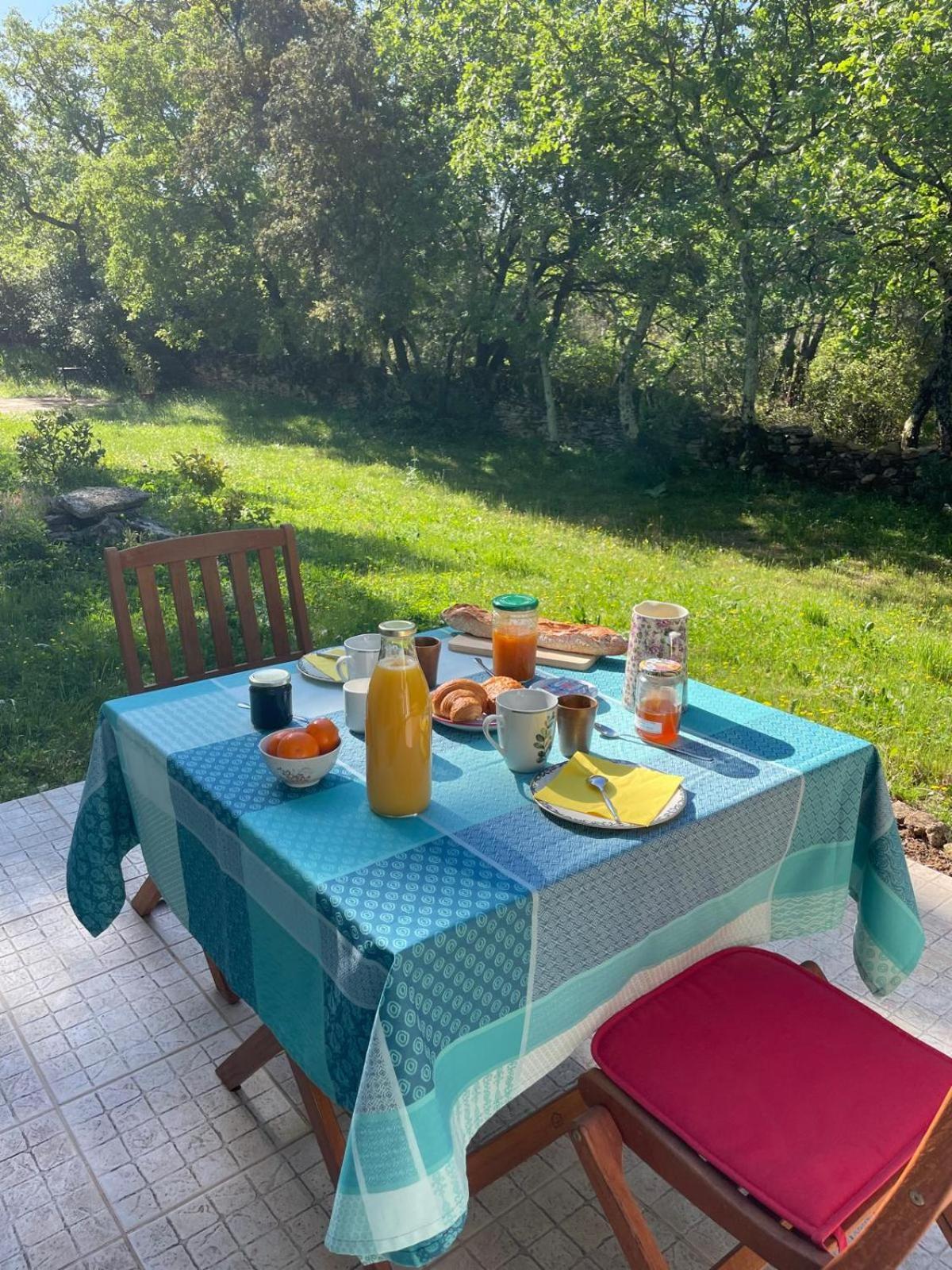ヴェール・ポン・デュ・ガル Les Marguerites Bed & Breakfast エクステリア 写真