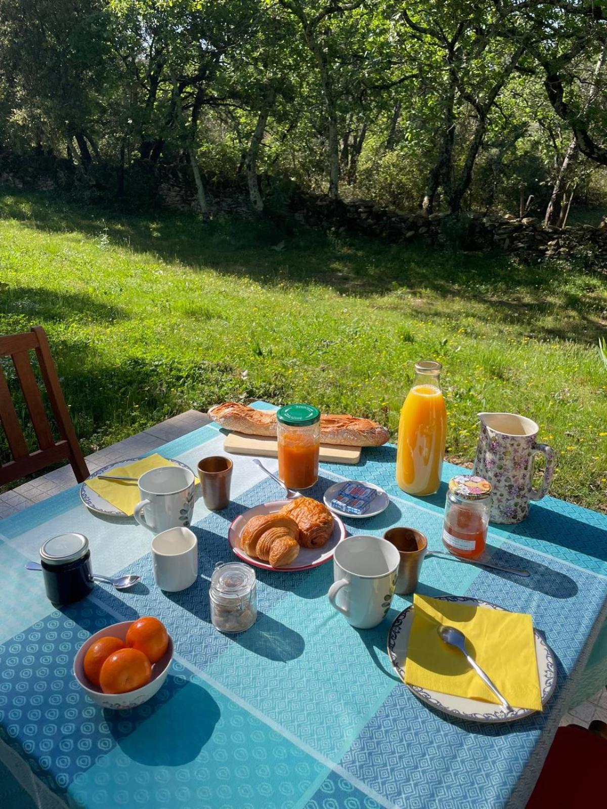 ヴェール・ポン・デュ・ガル Les Marguerites Bed & Breakfast エクステリア 写真